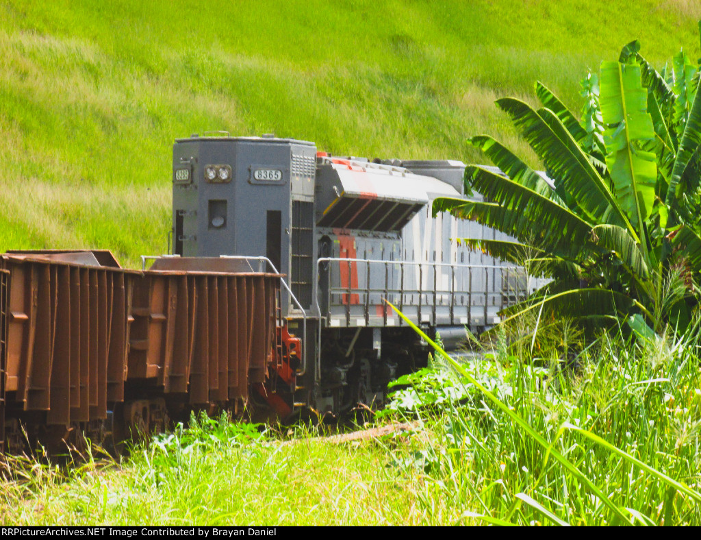 VLI 8365
